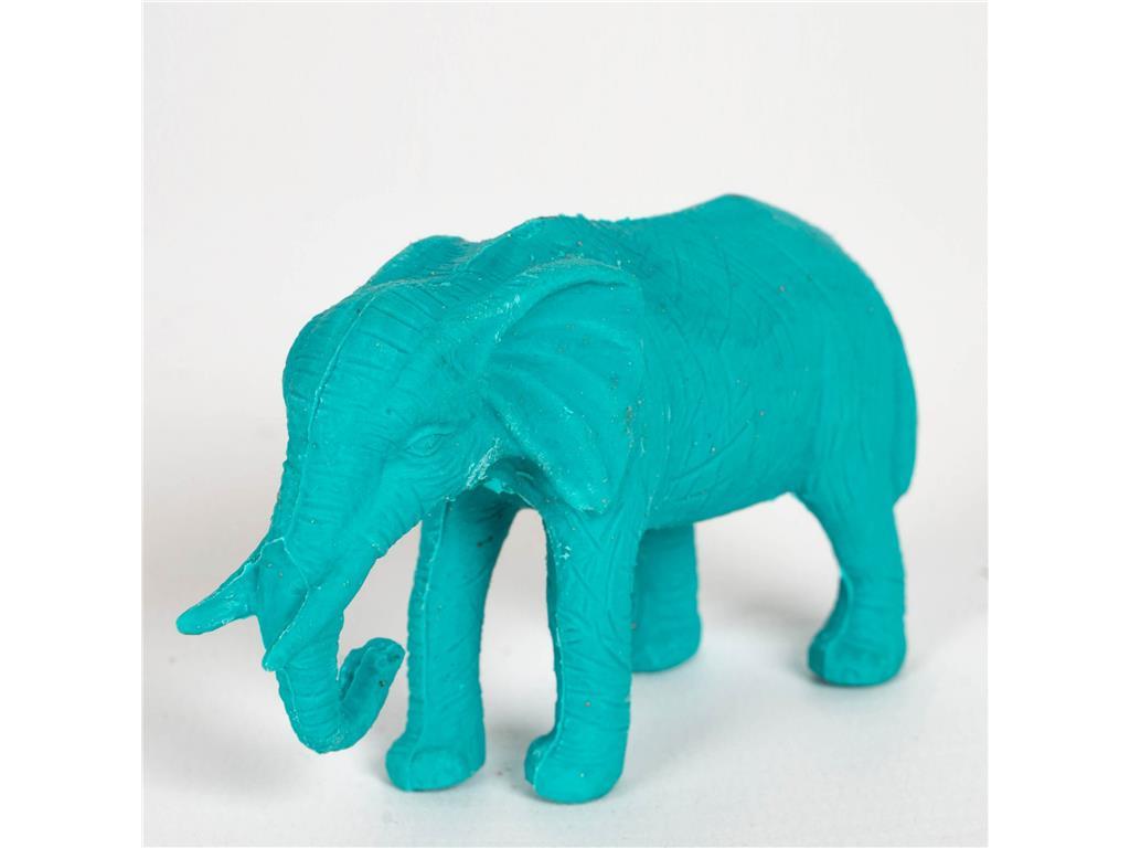 Apli Displej radirke džungla, 12 kos