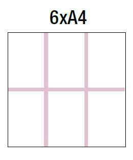 Bi-Office Vanjska oglasna vitrina s ključem 6xA4