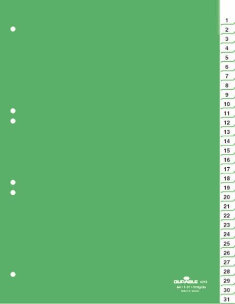 Durable Ločilni listi A4 1/31 (6219)