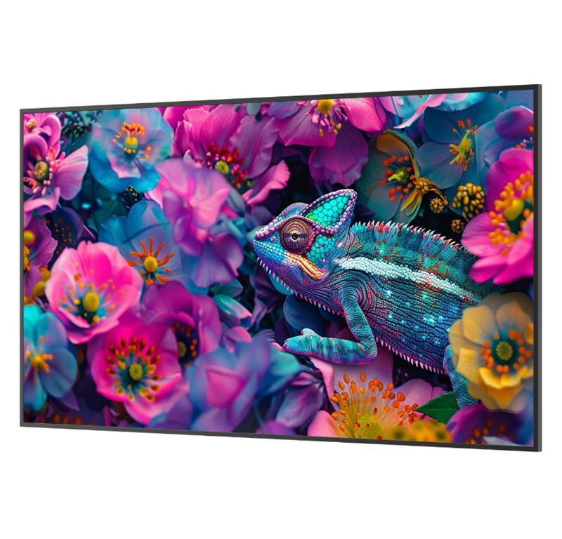 Newline Profesionalni LFD zaslon DSX 55''