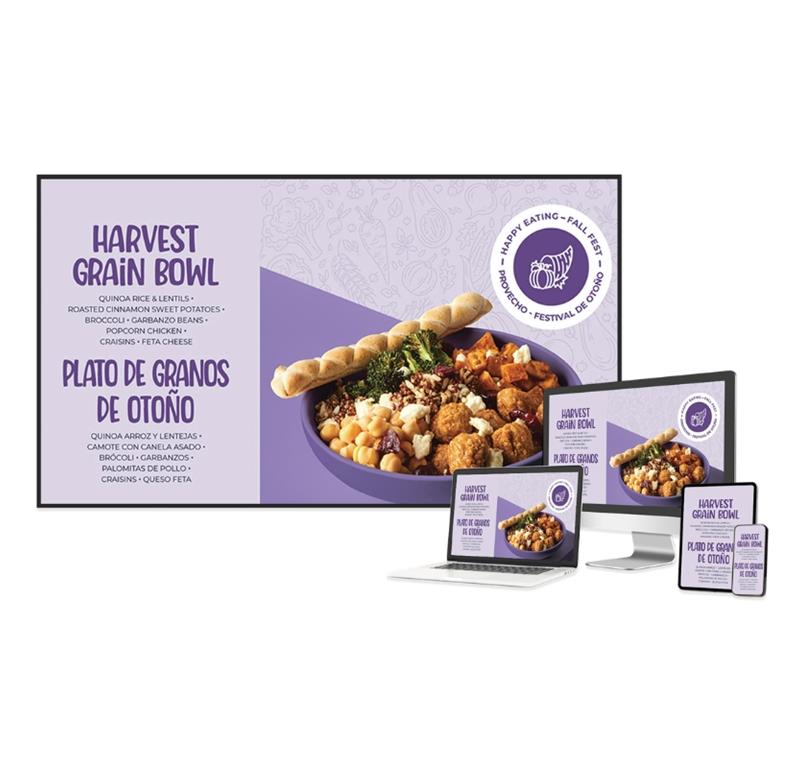 Newline Profesionalni LFD zaslon DSX 55''