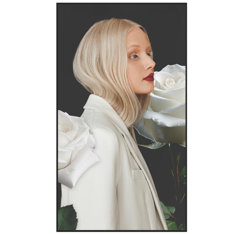 Newline Profesionalni LFD zaslon DSX 75''