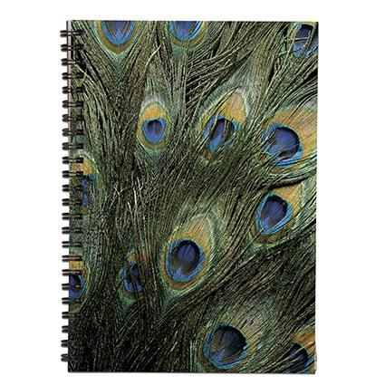 Klipko Zvezek s spiralo A5, črtast, pav