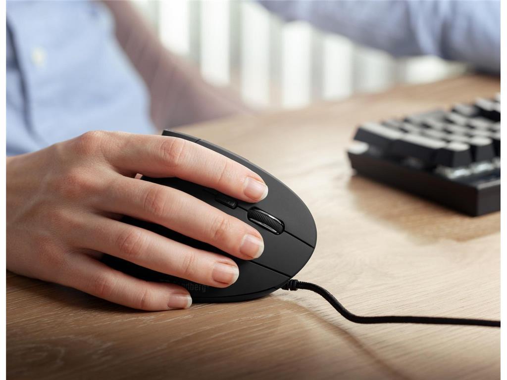 Sandberg Vertikalni žičani miš